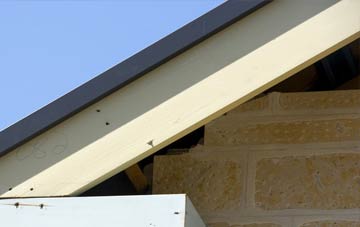 Lunnister fascia repairs