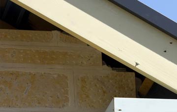 soffit repair Lunnister